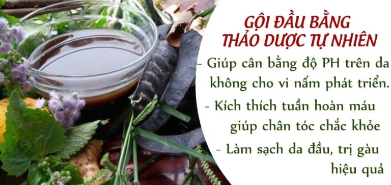 Dầu gội đầu từ thảo dược tự nhiên