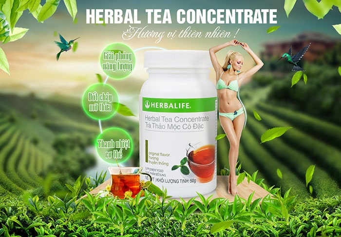 Trà thảo mộc cô đặc Herbalife